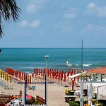 Ambra Viareggio